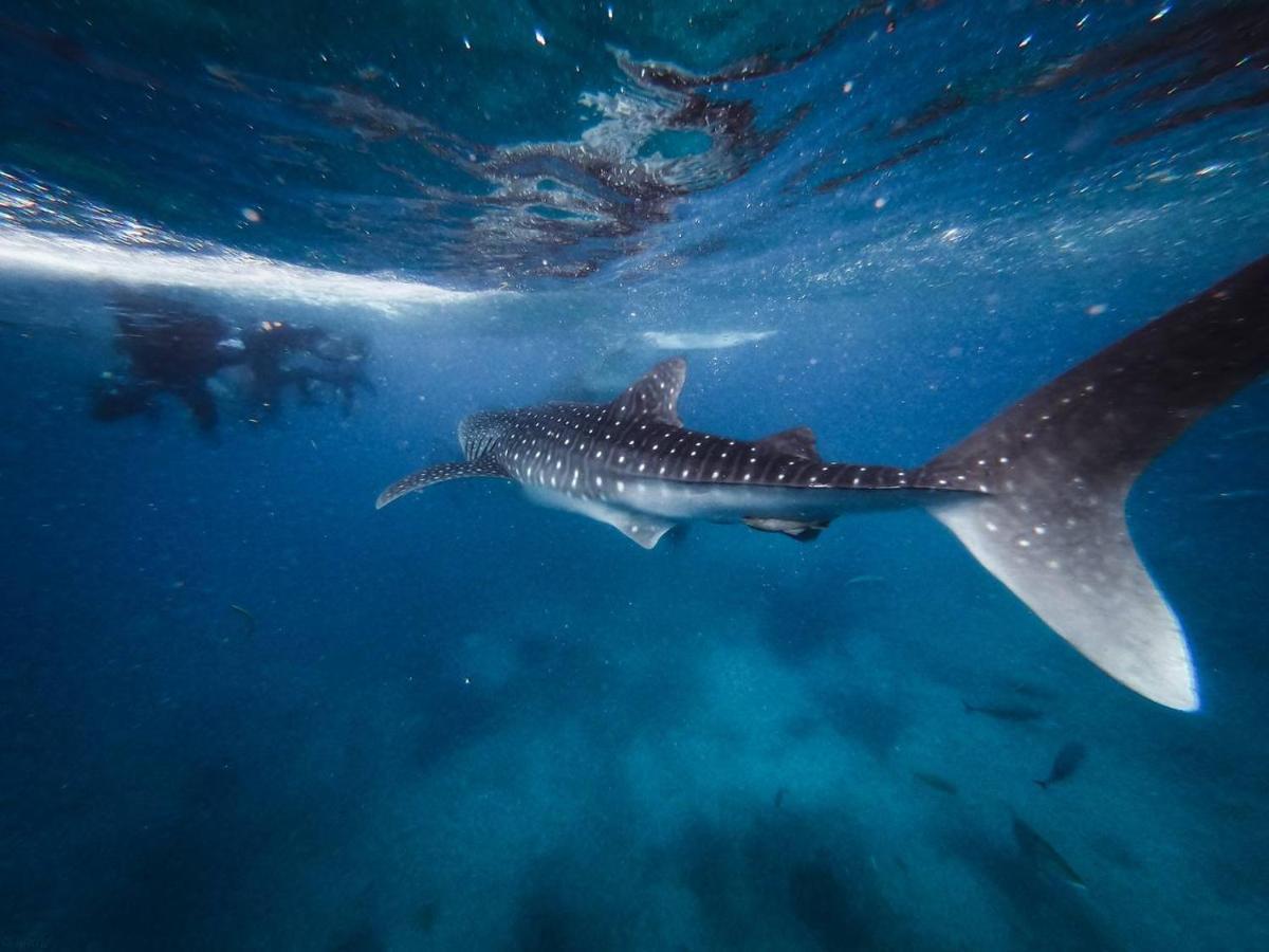 Manta Dhangethi Екстериор снимка