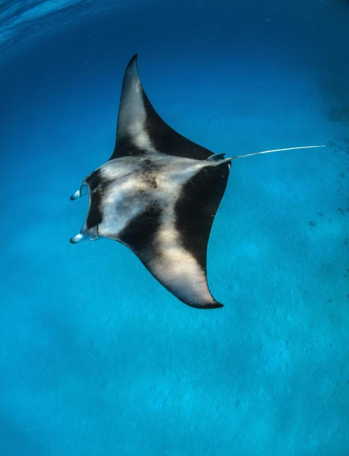 Manta Dhangethi Екстериор снимка