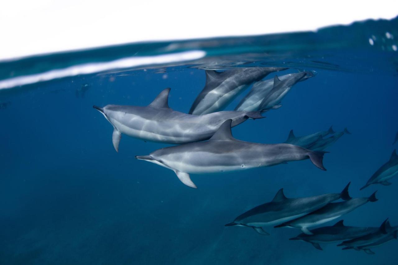 Manta Dhangethi Екстериор снимка