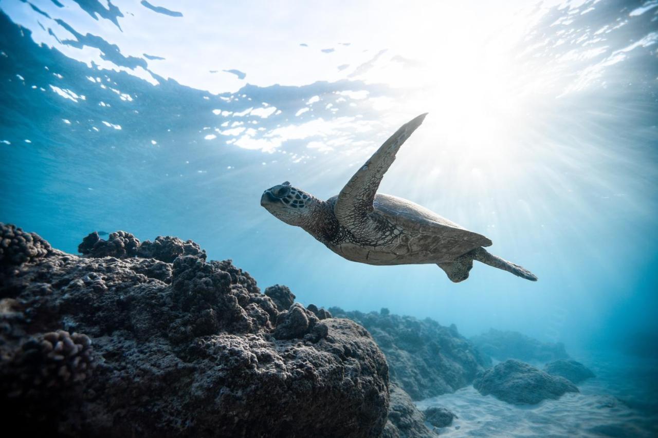 Manta Dhangethi Екстериор снимка